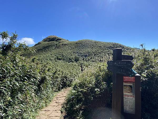 20231104 臺北大縱走第三段，小油坑－風櫃口（芒花季）