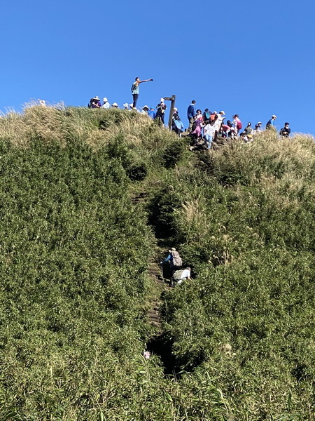 20231104 臺北大縱走第三段，小油坑－風櫃口（芒花季）