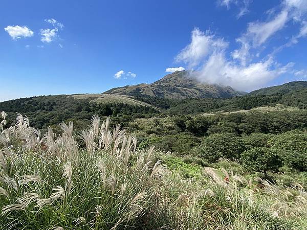 20231104 臺北大縱走第三段，小油坑－風櫃口（芒花季）