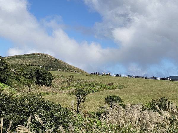 20231104 臺北大縱走第三段，小油坑－風櫃口（芒花季）