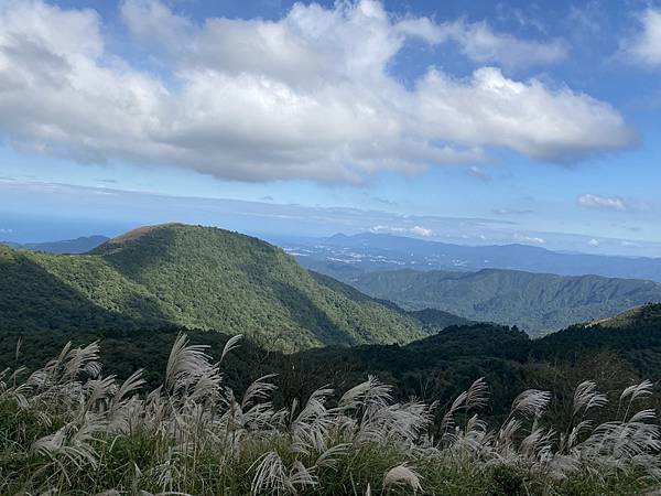 20231104 臺北大縱走第三段，小油坑－風櫃口（芒花季）