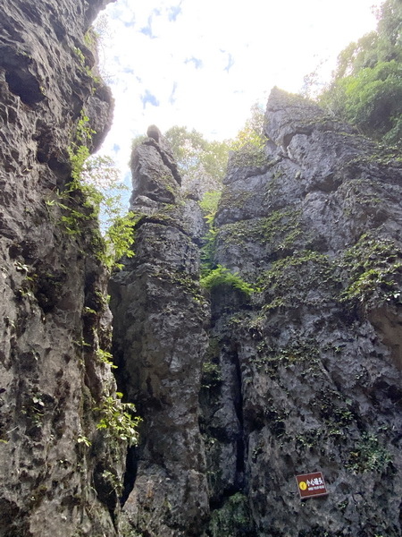 20231023 小三通八閩山海遊04：福建鱗隱石林（AAA