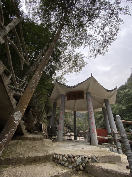 20231025 小三通八閩山海遊09：武夷山，黃崗山大峽谷