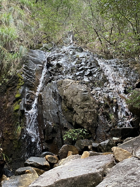 20231025 小三通八閩山海遊09：武夷山，黃崗山大峽谷