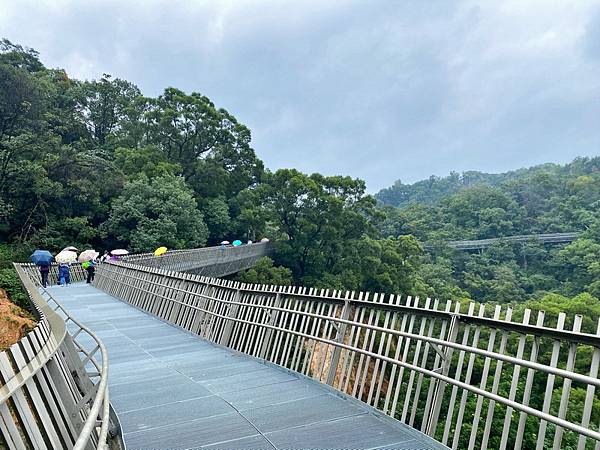 20231027 小三通八閩山海遊13：福道森林步道踏查行（