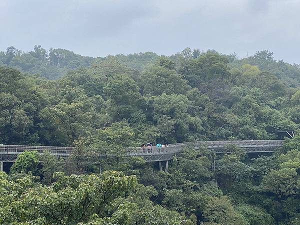 20231027 小三通八閩山海遊13：福道森林步道踏查行（