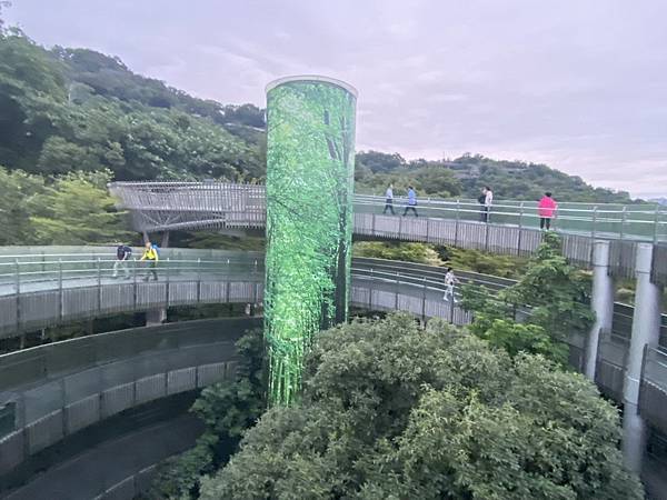 20231027 小三通八閩山海遊15：福道森林步道最美時刻