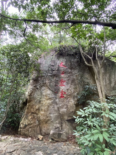 20231028 小三通八閩山海遊16：泉州清源山（AAAA