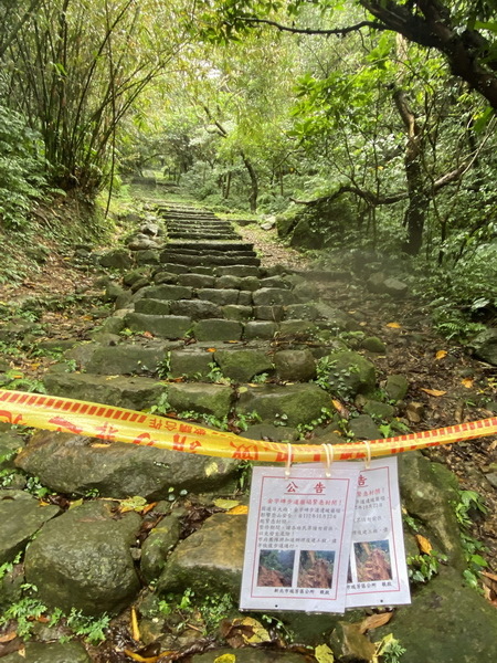 20231111 淡蘭古道北路精華，金字碑、不厭亭、樹梅坪、