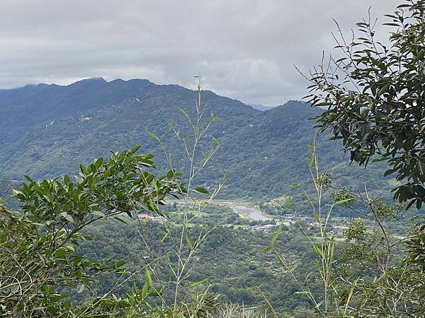 20231112 藤猿古道、獅山古道、獅頭山O繞