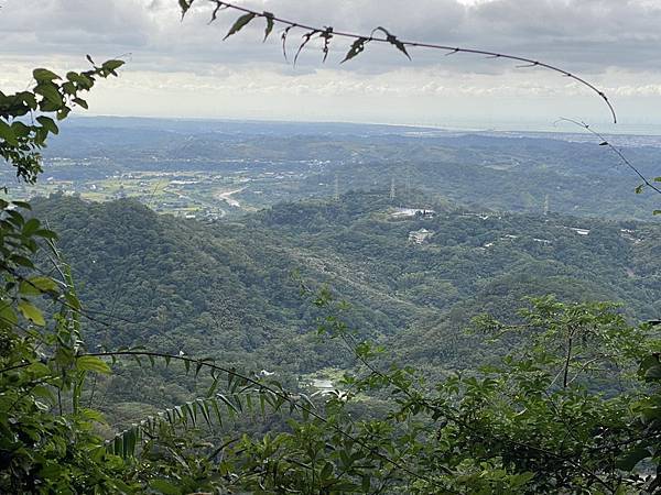 20231112 藤猿古道、獅山古道、獅頭山O繞