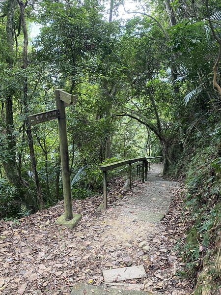 20231112 藤猿古道、獅山古道、獅頭山O繞