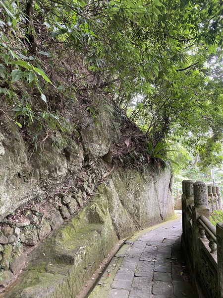 20231112 藤猿古道、獅山古道、獅頭山O繞