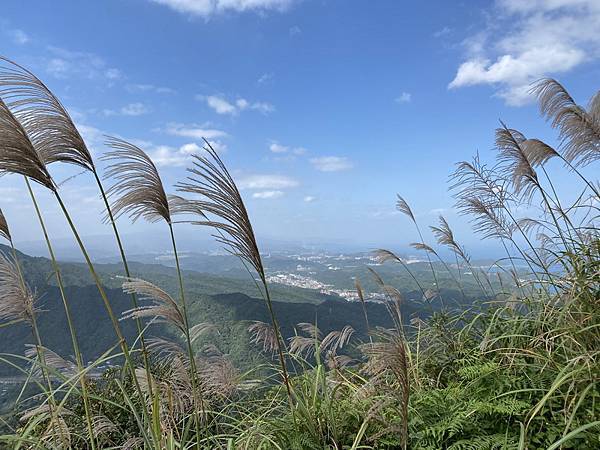 20231118 淡蘭古道北路，金字碑、不厭亭、貂山古道、燦