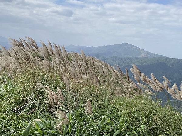 20231118 淡蘭古道北路，金字碑、不厭亭、貂山古道、燦