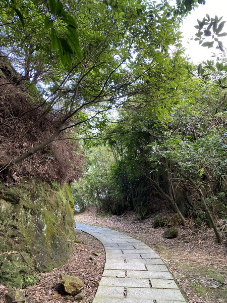 20231119 淡蘭古道北路，小粗坑古道、琉瑯路觀光步道、