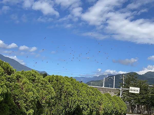 20231122~29 背包族海岸山脈四橫貫徒步行