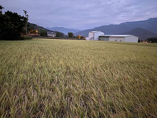 20231122~29 背包族海岸山脈四橫貫徒步行