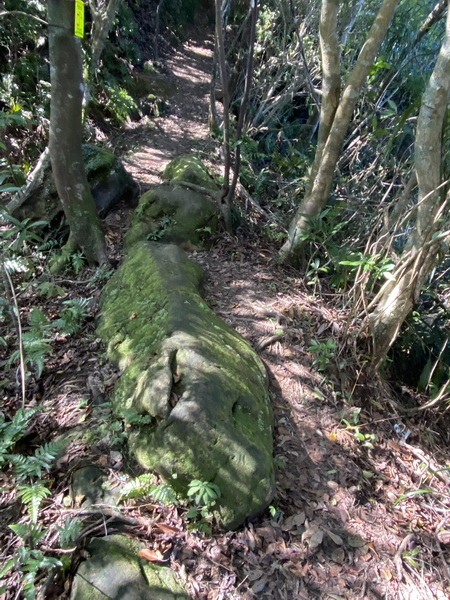 20231209~11 新北三大岩場，筆架連峰、皇帝殿、五寮