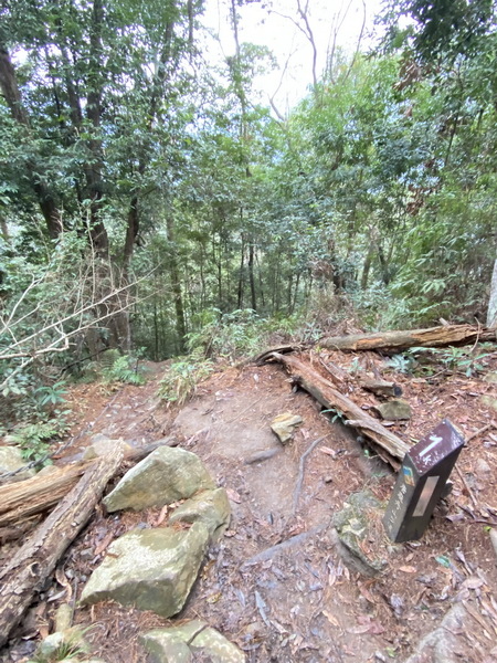 20231223 谷關八雄，裡冷進出Ｏ繞唐麻丹山、蝴蝶谷