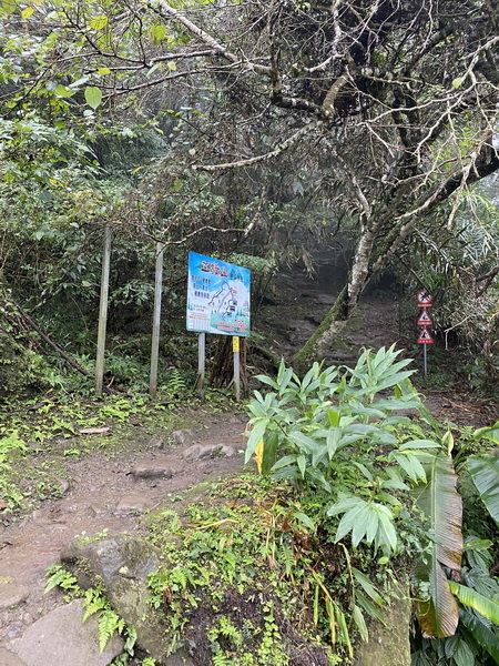 20231224 小百岳#030：新竹五指山（竹林禪苑上）