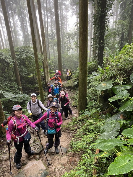 20231224 小百岳#030：新竹五指山（竹林禪苑上）