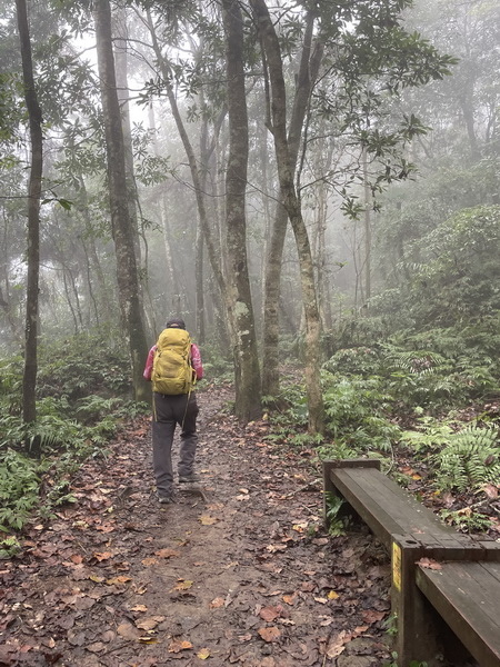 20231224 小百岳#030：新竹五指山（竹林禪苑上）