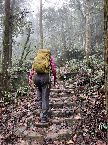 20231224 小百岳#030：新竹五指山（竹林禪苑上）