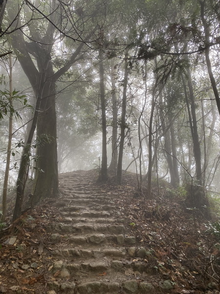 20231224 小百岳#030：新竹五指山（竹林禪苑上）