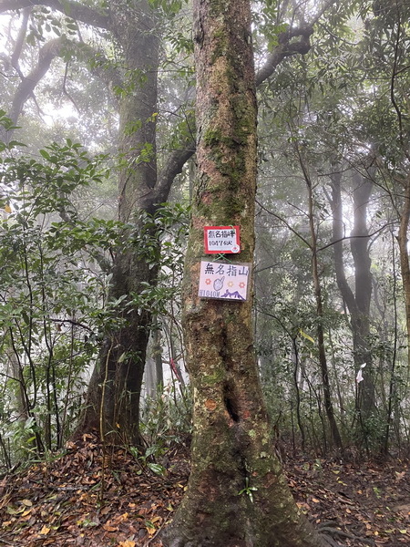 20231224 小百岳#030：新竹五指山（竹林禪苑上）