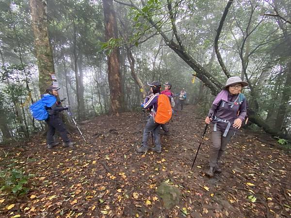 20231224 小百岳#030：新竹五指山（竹林禪苑上）