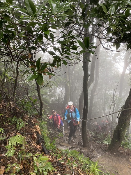 20231224 小百岳#030：新竹五指山（竹林禪苑上）