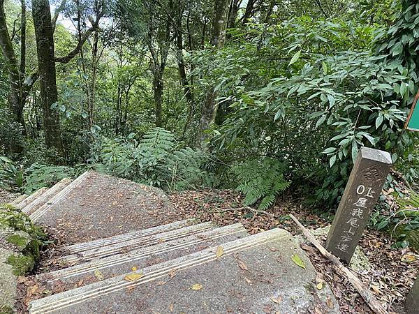 20231230 谷關八雄屋我尾山、加碼橫嶺山