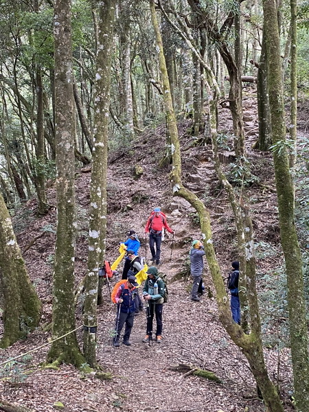 20231230 谷關八雄屋我尾山、加碼橫嶺山