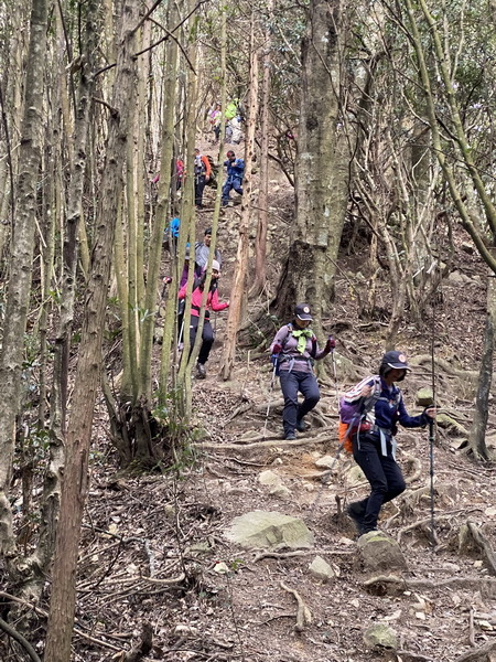 20231230 谷關八雄屋我尾山、加碼橫嶺山