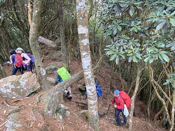 20231230 谷關八雄屋我尾山、加碼橫嶺山