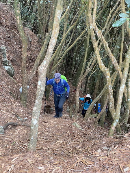 20231230 谷關八雄屋我尾山、加碼橫嶺山