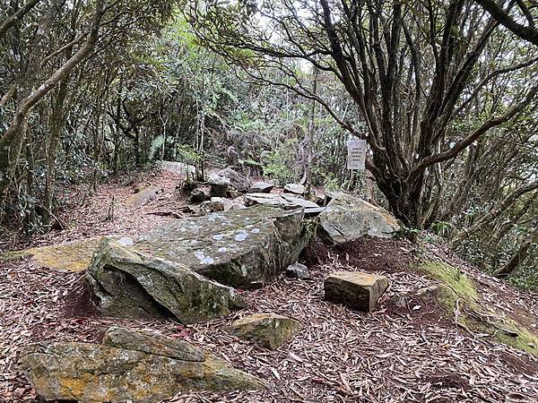 20231230 谷關八雄屋我尾山、加碼橫嶺山