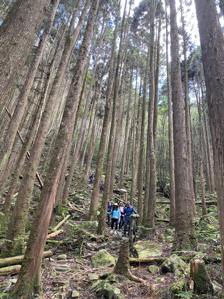 20231230 谷關八雄屋我尾山、加碼橫嶺山