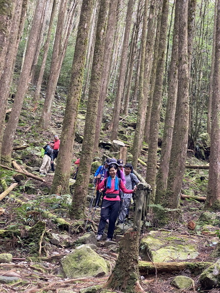 20231230 谷關八雄屋我尾山、加碼橫嶺山