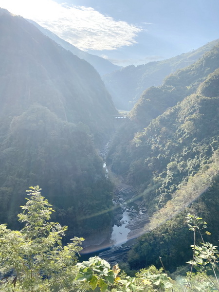 20240107~12 徒步北橫健行趣 楓紅滿地逍遙遊