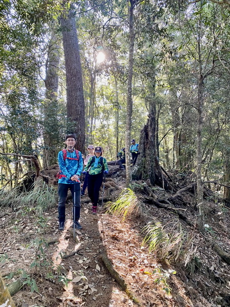 20240114 谷關八雄八仙山，順登佳保台山，兼記一隻台灣