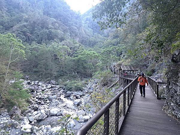 20240114 谷關八雄八仙山，順登佳保台山，兼記一隻台灣