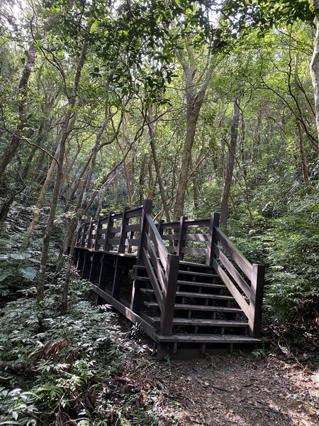 20240120 雙流國家森林遊樂區的帽子山步道與白榕步道