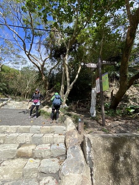 20240120 雙流國家森林遊樂區的帽子山步道與白榕步道