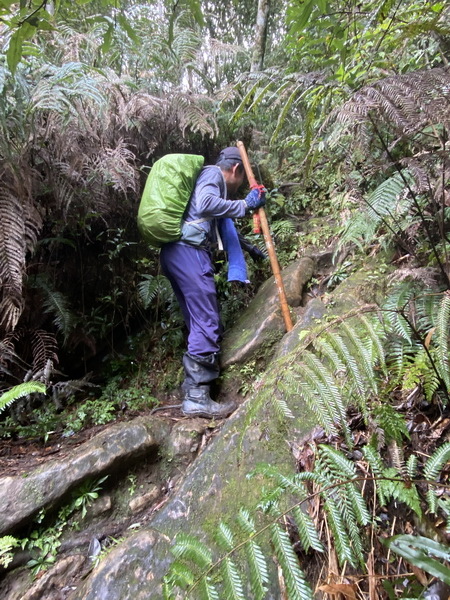 20240128 復興三尖之峭，那結山（那是山）