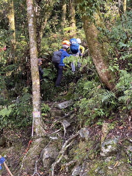 20240129 復興三尖之秀，復興尖山（尖山）