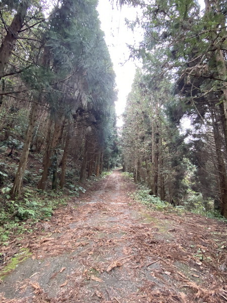 20240316 民都有山，順遊清泉環繞