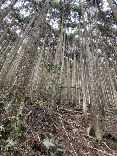 20240316 民都有山，順遊清泉環繞