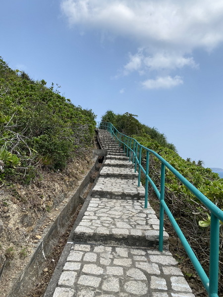 20240320 香港港島徑龍脊，兼遊半山電動手扶梯、西營盤